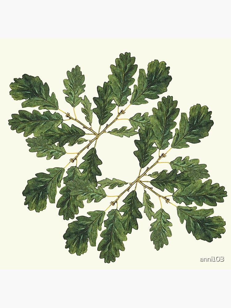 Oak leaf ensemble by anni103
