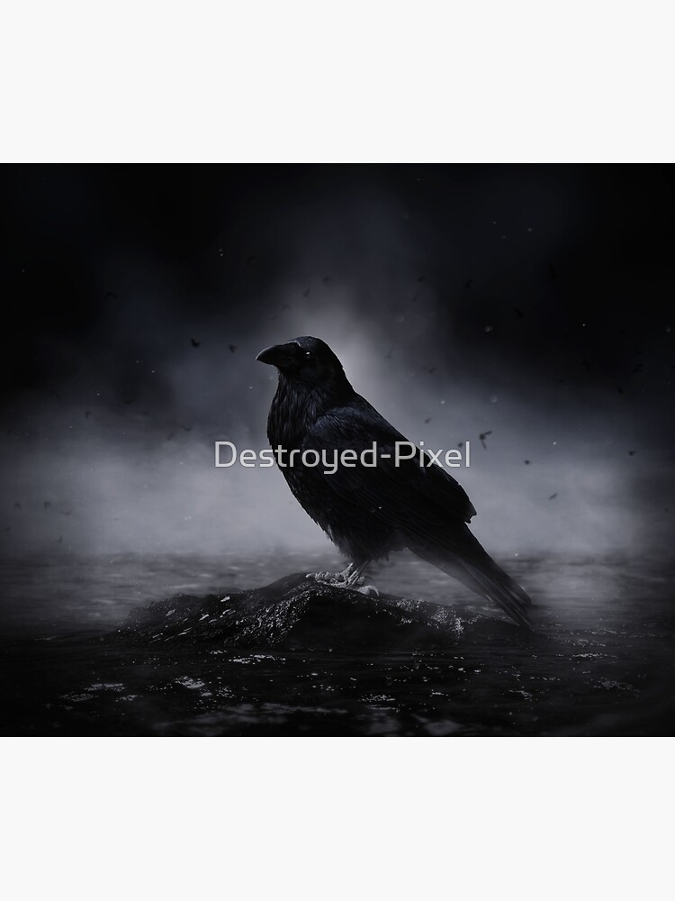Raven in the fog by Destroyed-Pixel