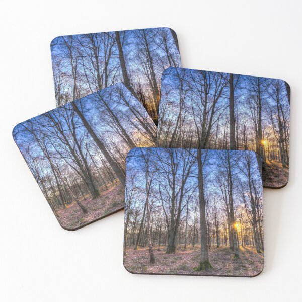 Item preview, Late Afternoon Forest designed and sold by Londonimages.