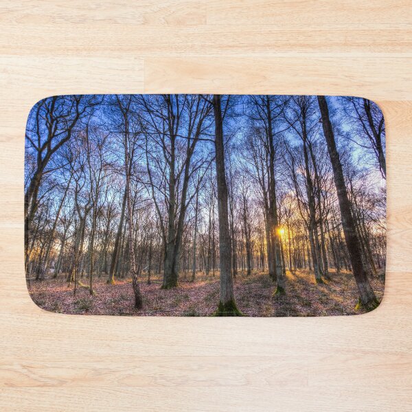 Item preview, Late Afternoon Forest designed and sold by Londonimages.