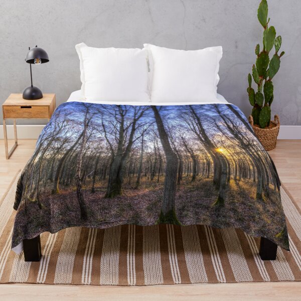 Item preview, Late Afternoon Forest designed and sold by Londonimages.