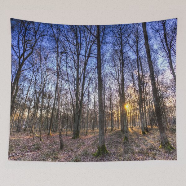 Item preview, Late Afternoon Forest designed and sold by Londonimages.