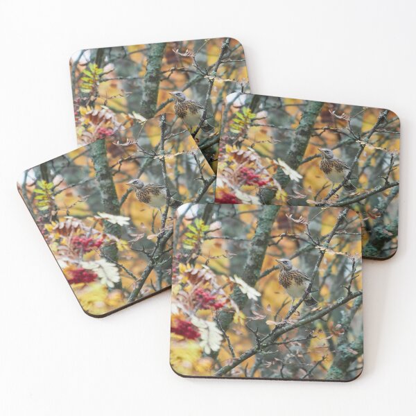 Item preview, Fieldfare fall designed and sold by Jouko Lehto Photography.