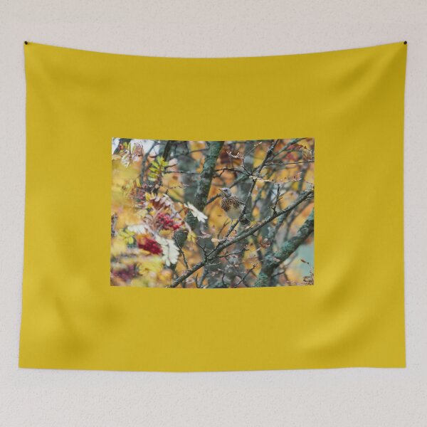 Item preview, Fieldfare fall designed and sold by Jouko Lehto Photography.