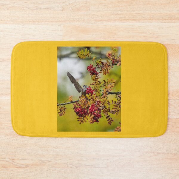 Item preview, Secred signs. Fieldfare designed and sold by Jouko Lehto Photography.
