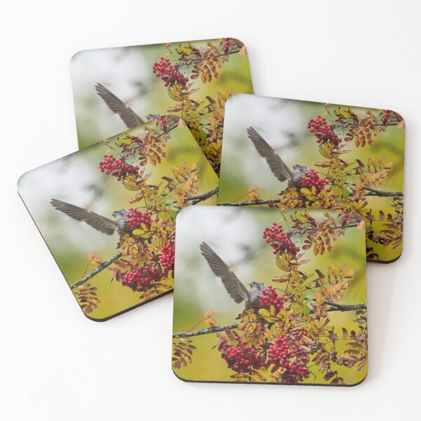 Item preview, Secred signs. Fieldfare designed and sold by Jouko Lehto Photography.