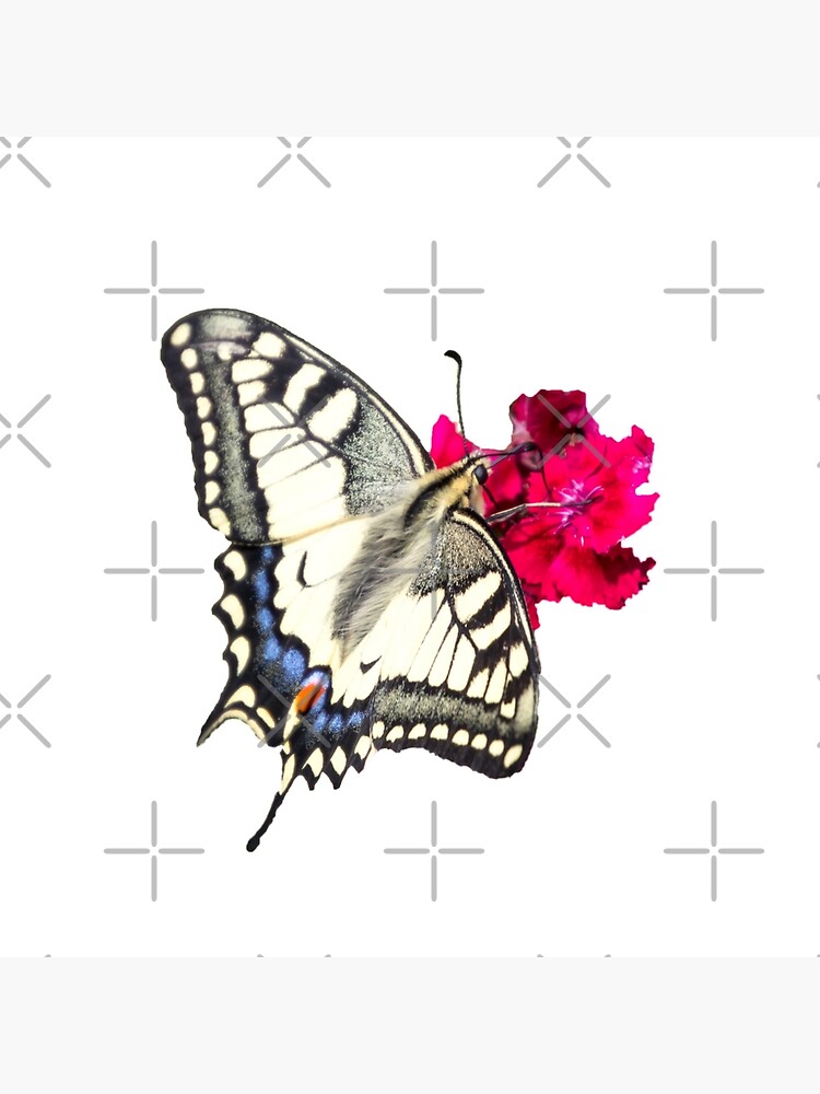 Thumbnail 2 von 2, Stofftasche, Geschenkidee Schmetterling Schwalbenschwanz Foto designt und verkauft von Igelchen.