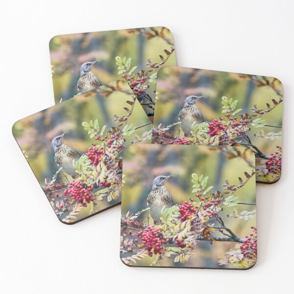 Item preview, Fieldfare with rowan berries designed and sold by Jouko Lehto Photography.