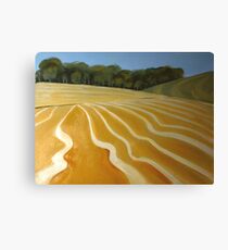 Patterns of the plow Canvas Print