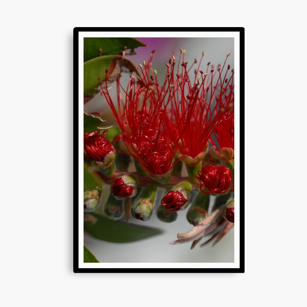 Item preview, Bottle Brush  designed and sold by Terry Greenwood.