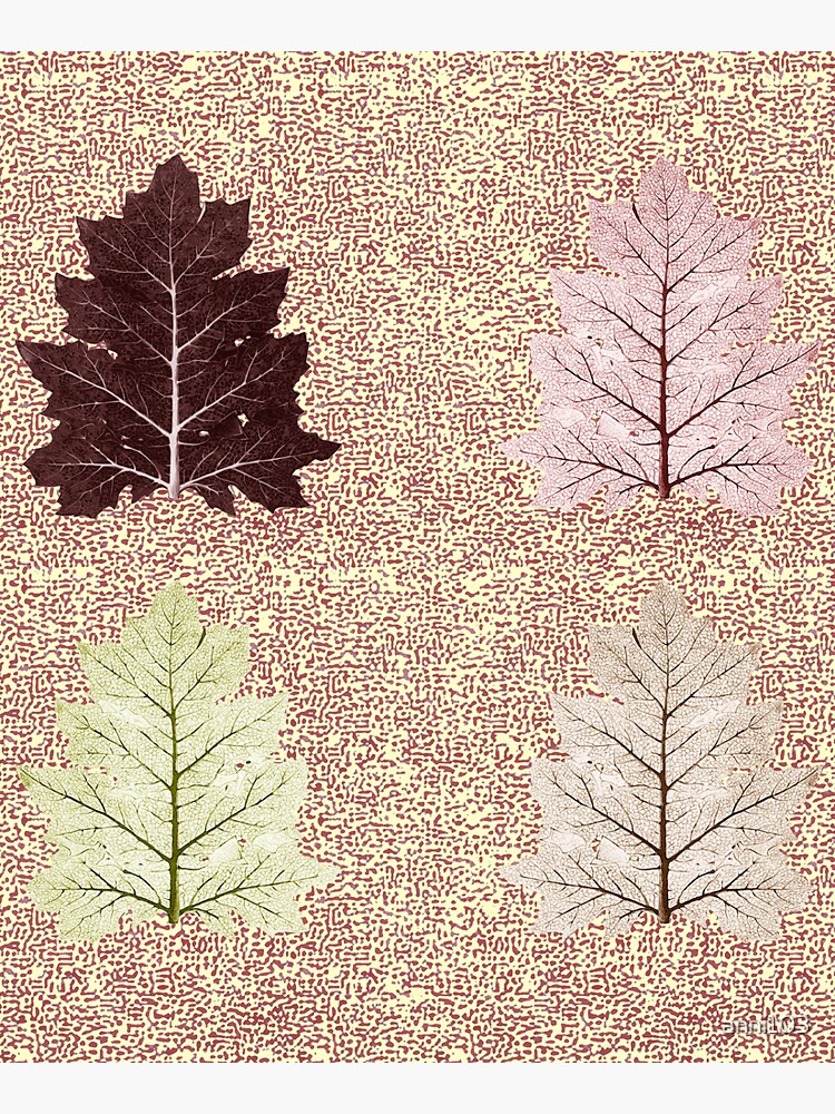 Fiction of a leaf. Autumn Falls by anni103