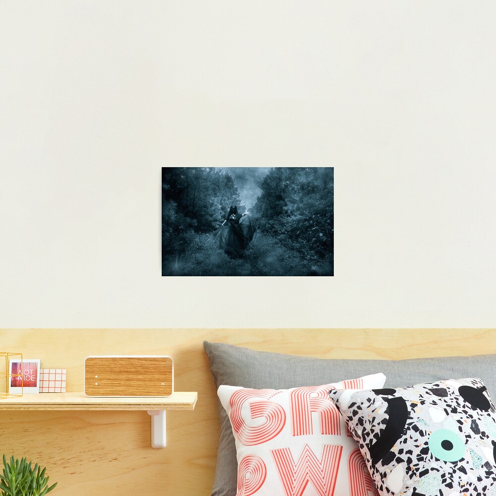 Shadow Dance Photographic Print