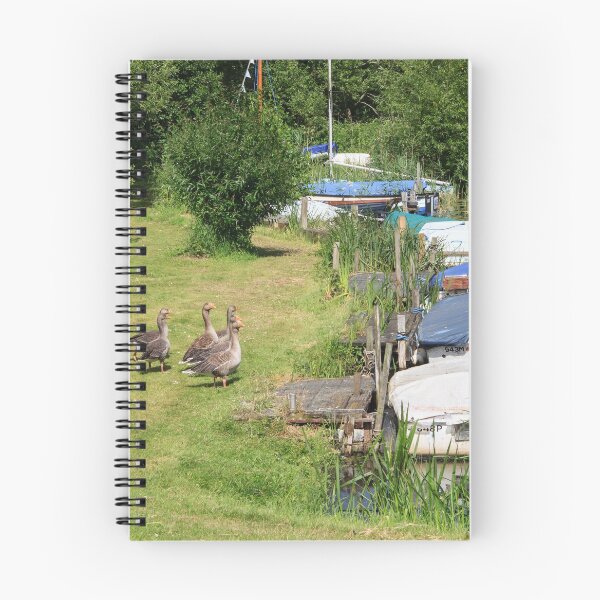 Item preview, Geese At Barton Turf designed and sold by maureen bracewell.