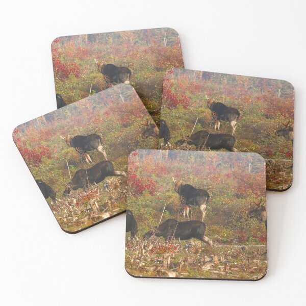 Item preview, Maine Pie bald Moose designed and sold by Enola Gay Wagner.