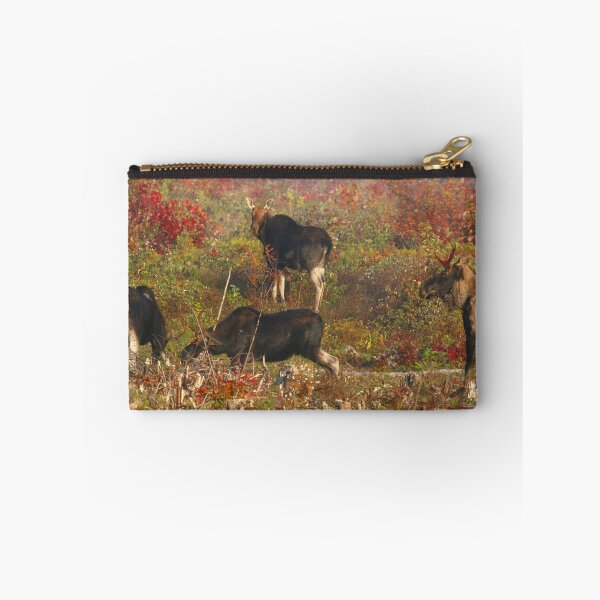 Item preview, Maine Pie bald Moose designed and sold by Enola Gay Wagner.