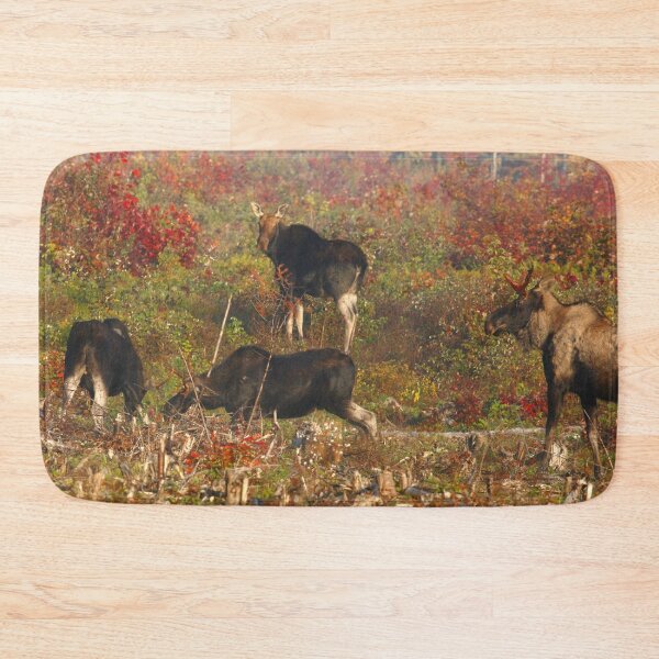 Item preview, Maine Pie bald Moose designed and sold by Enola Gay Wagner.