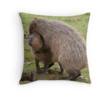 pillow pets capybara