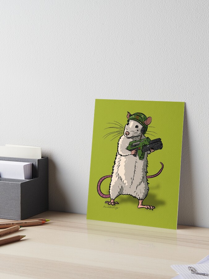 marine rat