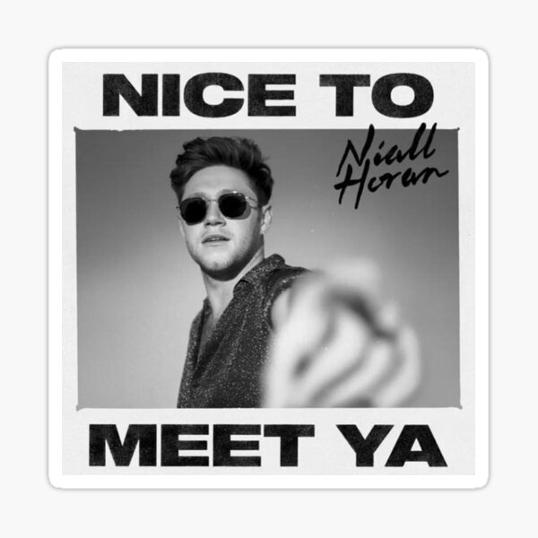 Nice To Meet Ya Gifts & Merchandise | Redbubble