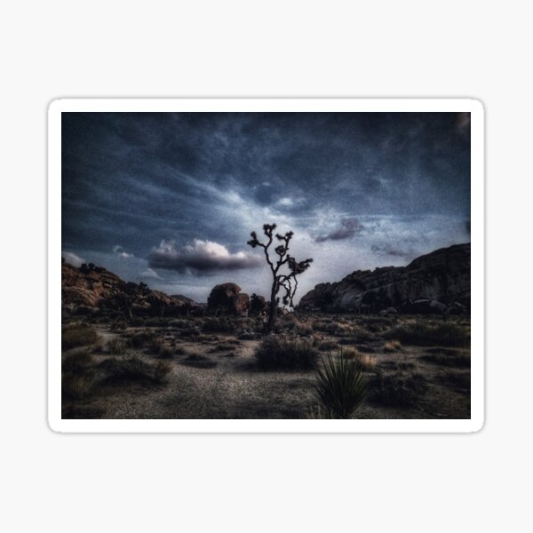 Item preview, Joshua Tree Nightfall designed and sold by Kylejmcdonough.