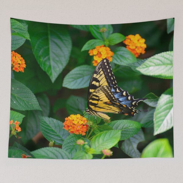 Item preview, Eastern Tiger Swallowtail butterfly designed and sold by Richard Nix.
