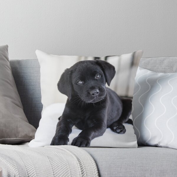 Item preview, Black labrador puppy designed and sold by PawsomePrints.