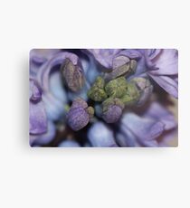 blooming empowered Metal Print