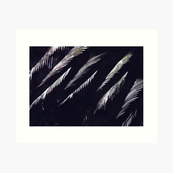 Feathers Art Print