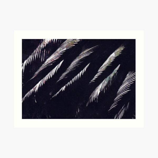 Feathers Art Print