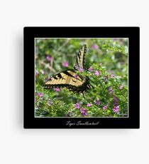 Tiger Swallowtail Canvas Print