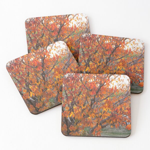 Item preview, Our Blaze Maple designed and sold by Diane Arndt.