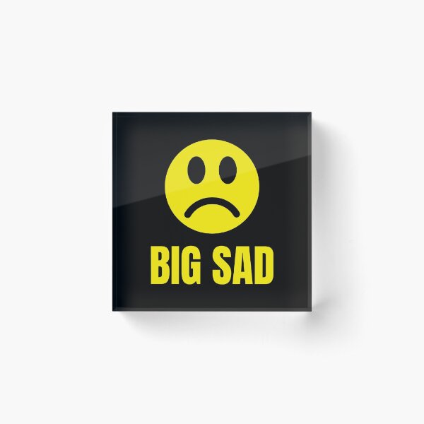 Big Sad Noob Face (3D) - Roblox