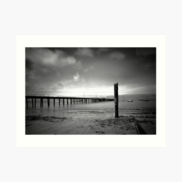 Flinders Art Print