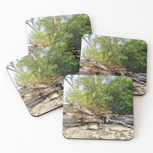 Item preview, Old fallen tree designed and sold by Shulie1.