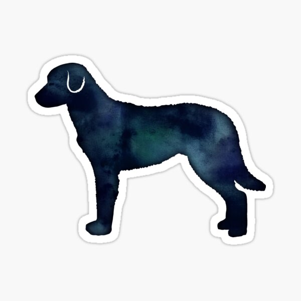 Chesapeake Bay Retriever Dog Breed Silhouette Black Indigo Blue Watercolor Sticker