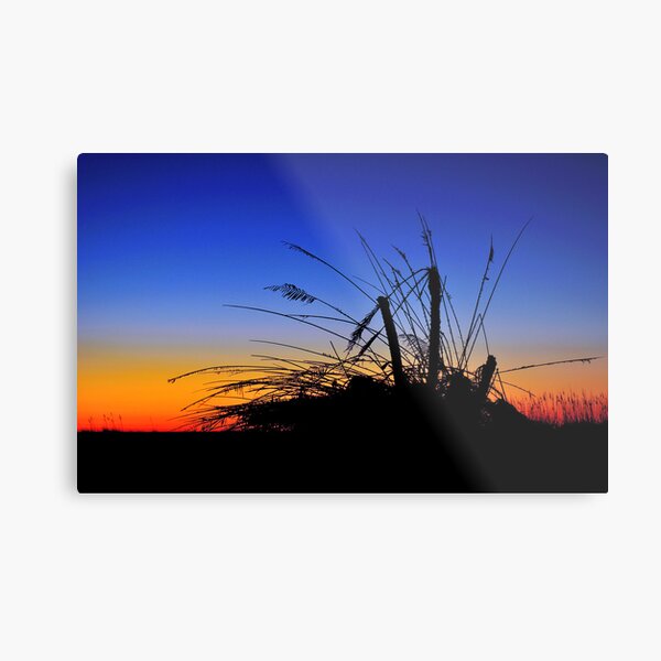 Fallen Palm Trees Metal Print