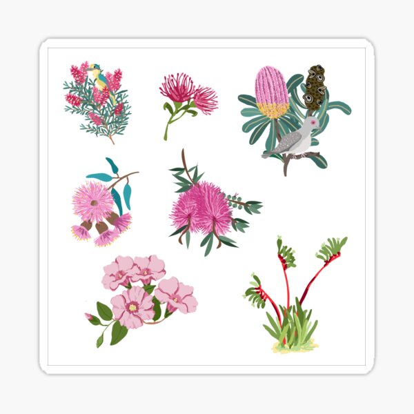 Australian Native Flowers and Birds Sticker Sheet - Aussie Stickers - Mini Floral Stickers Sticker