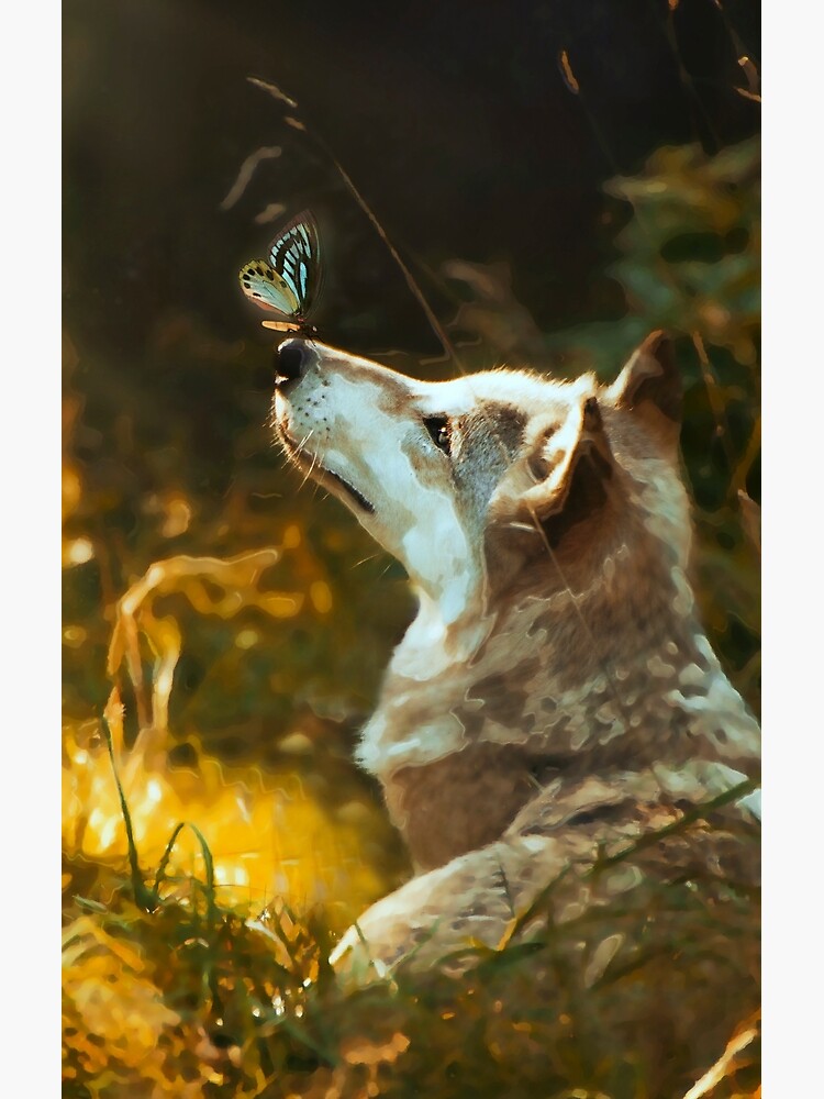 Tarjetas de felicitación «Lobo con mariposa - Retrato» de Liancary |  Redbubble