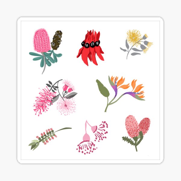 Australian Native FloraSticker Sheet - Aussie Stickers - Mini Floral Stickers Sticker