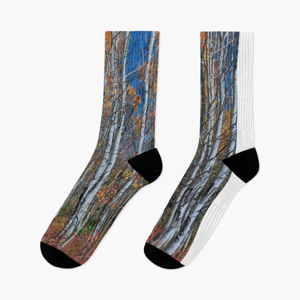 Item preview, Red Orange Blue Stick Forest Portrait designed and sold by Bo Insogna.