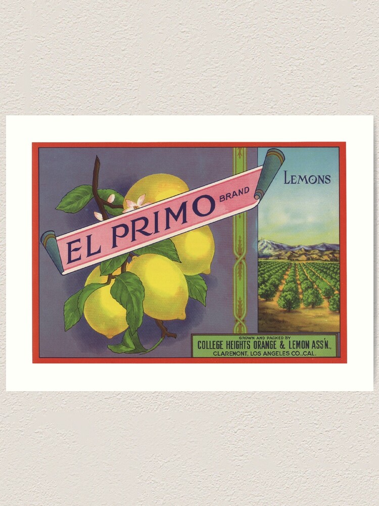 Los Angeles English Bulldog Bull Dog Orange Citrus Fruit Crate Label Art  Print 