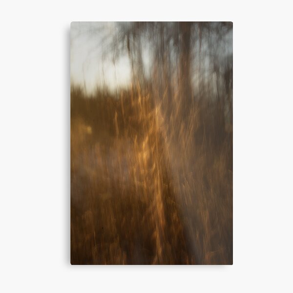 As The Afternoon Light Fades Metal Print