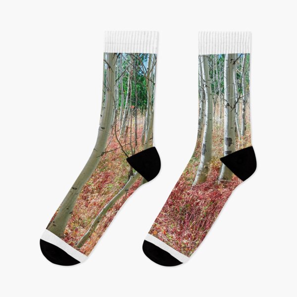 Item preview, Aspen Tree Trunks and Burning Reds designed and sold by Bo Insogna.