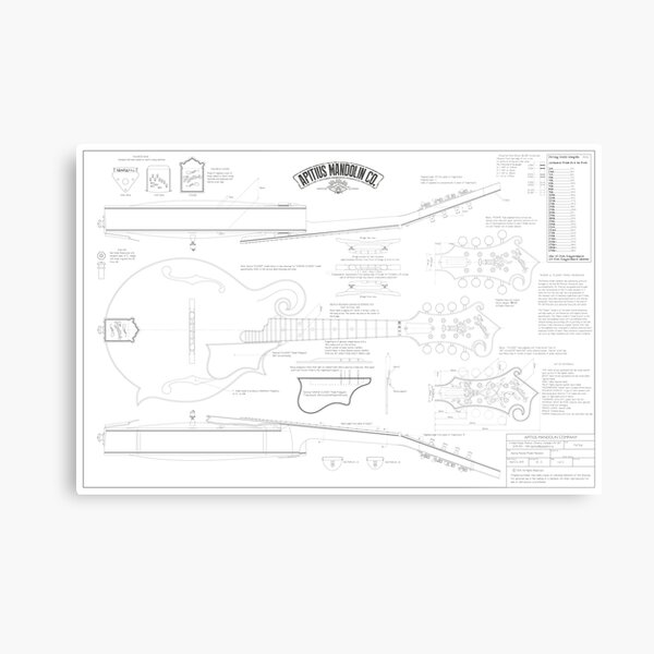Apitius Mandolin Blueprint Poster Metal Print