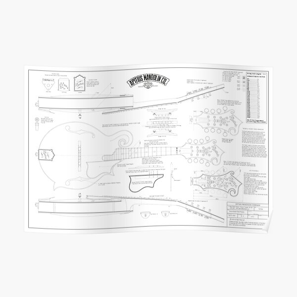 Apitius Mandolin Blueprint Poster Poster