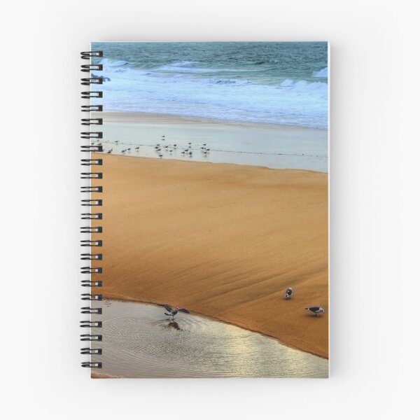 Item preview, seagull bath... designed and sold by Tereza Pilar  Art.