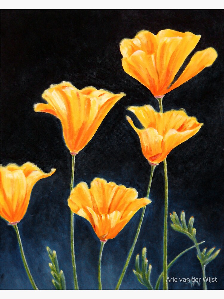 Cups of Gold by Aart