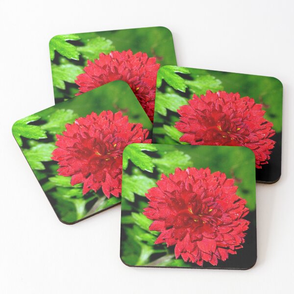 Item preview, Cute Crimson Chrysanthemum designed and sold by MidnightMelody.