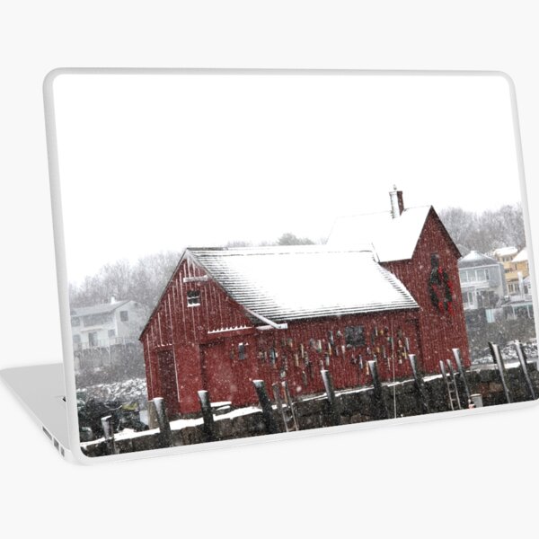 Motif #1 in the Winter Laptop Skin