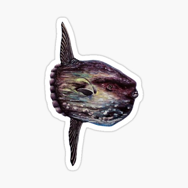 Vista previa del artículo con la obra «Mola Mola Sunfish», diseñado y vendido por Natasha Mansfield.